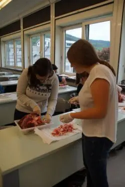 2016-5-20 Rinderherzpräp 009